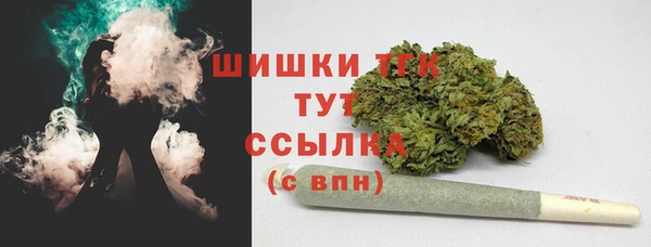 ешки Горняк