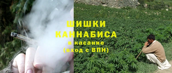 ешки Горняк