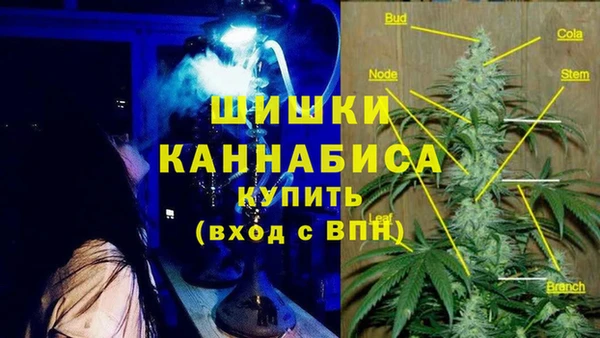 ешки Горняк