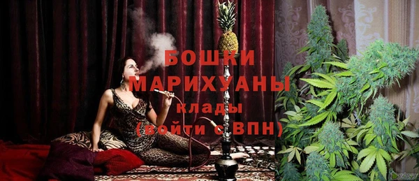 ешки Горняк