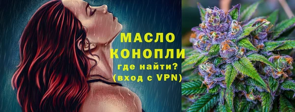 ешки Горняк