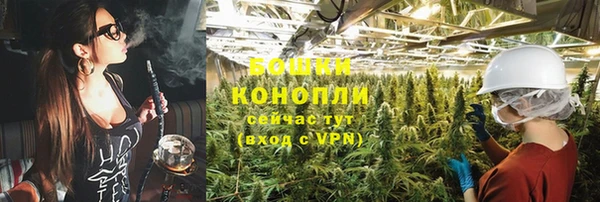 метадон Горнозаводск