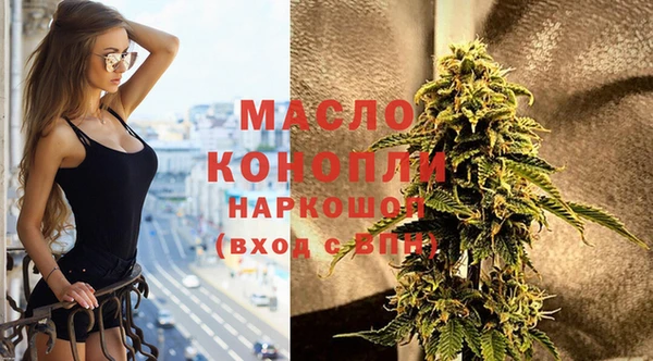 ешки Горняк