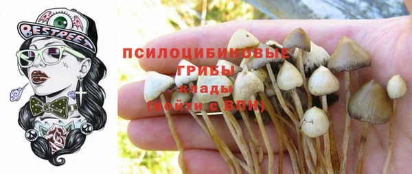 метадон Горнозаводск